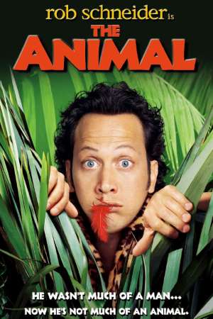 Download The Animal (2001) Dual Audio {Hindi-English} Movie 480p | 720p HDRip 250MB | 800MB