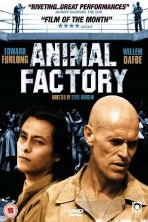 Download Animal Factory (2000) Dual Audio {Hindi-English} Movie 480p | 720p BluRay 300MB | 950MB