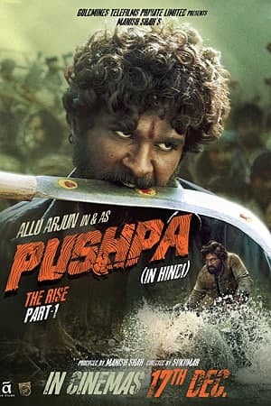 Download Pushpa: The Rise (2021) Dual Audio {Hindi-Telugu} Movie 480p | 720p | 1080p AMZN WEB-HDRip ESub