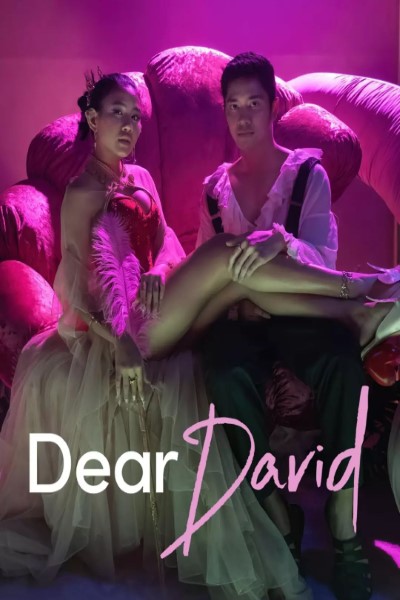 Download Dear David (2023) English Movie 480p | 720p | 1080p WEB-DL ESub