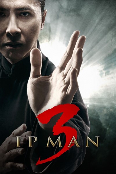 Download Ip Man 3 (2015) Dual Audio [Hindi-Chinese] Movie 480p | 720p | 1080p BluRay ESub